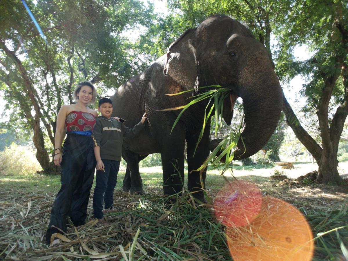 Sappraiwan Elephant Resort&Sanctuary Kaengsopha Extérieur photo
